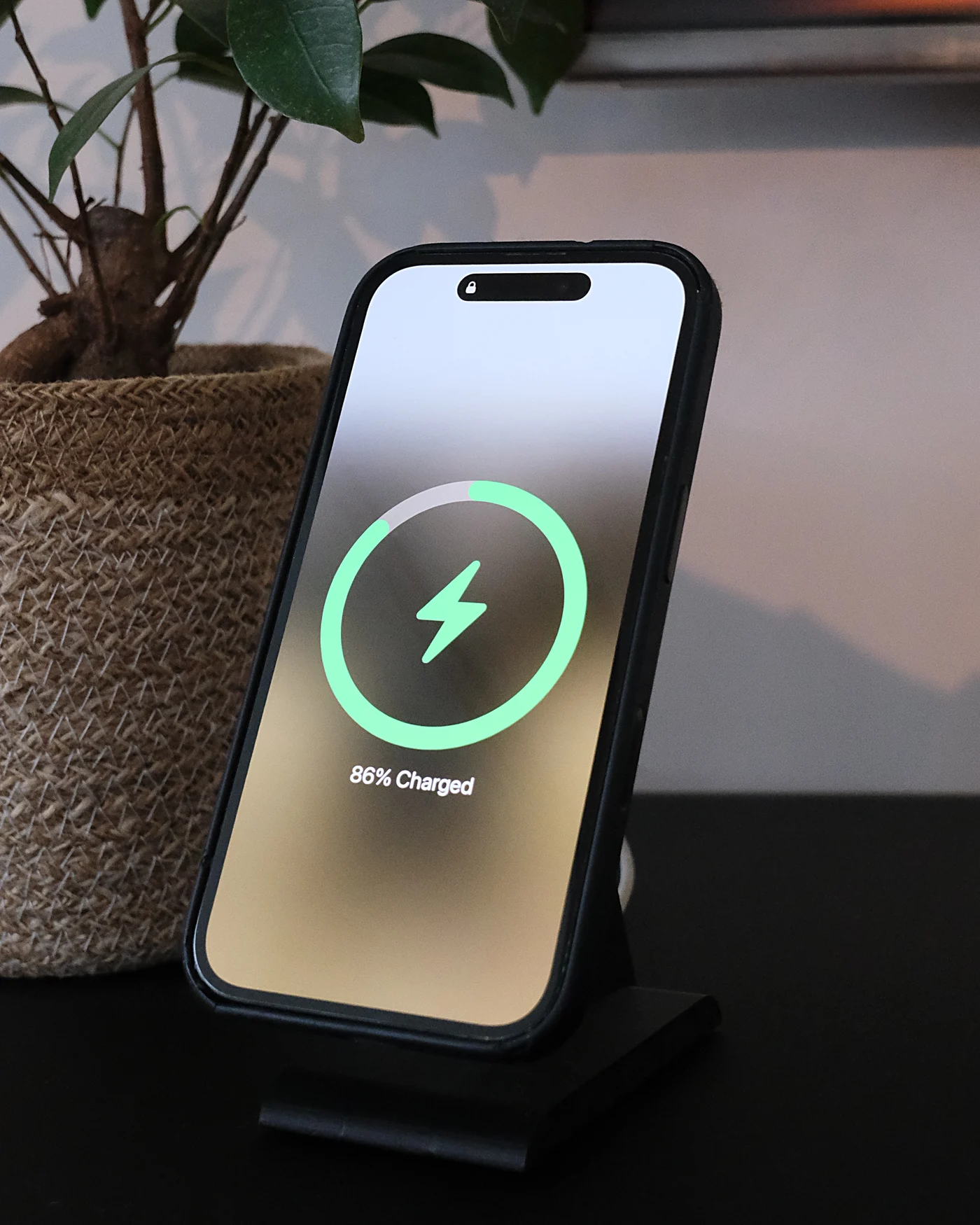 iPhone charging on the HPER stand, next to a plant